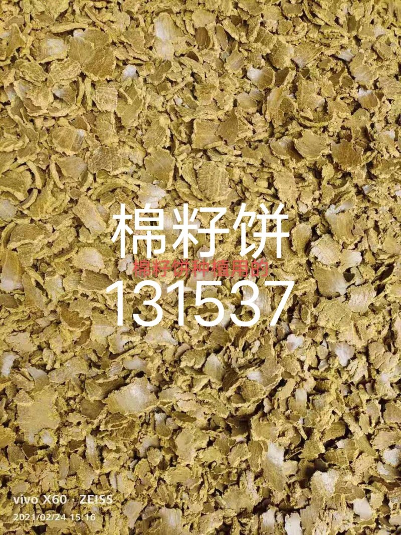 本厂销售棉籽饼，棉籽粕，需要联系我，厂家直发，一手货源