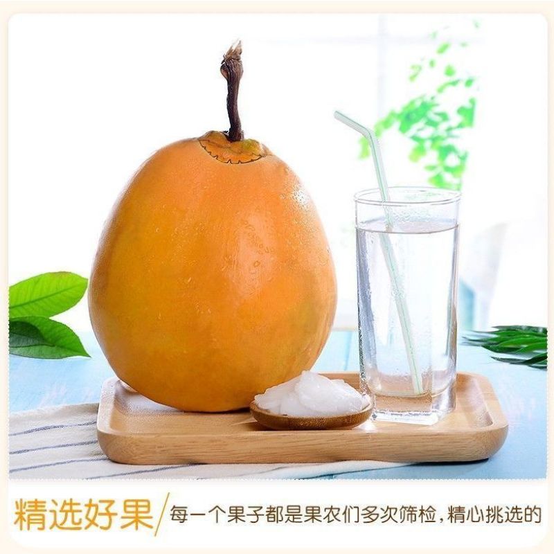 【一件代发】海南椰子新鲜海南农家肥种植黄金椰子批发包邮