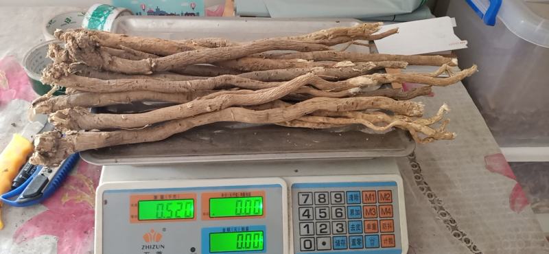 黄芪高海拔生长三十年野生黄芪五根一斤大条批发