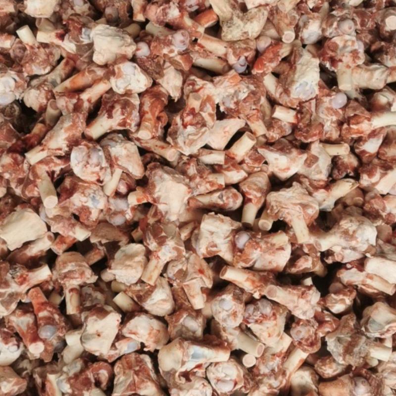 内蒙古大草原羔羊多肉羊棒骨满满的骨髓