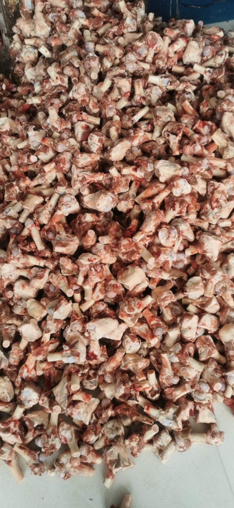 内蒙古大草原羔羊多肉羊棒骨满满的骨髓