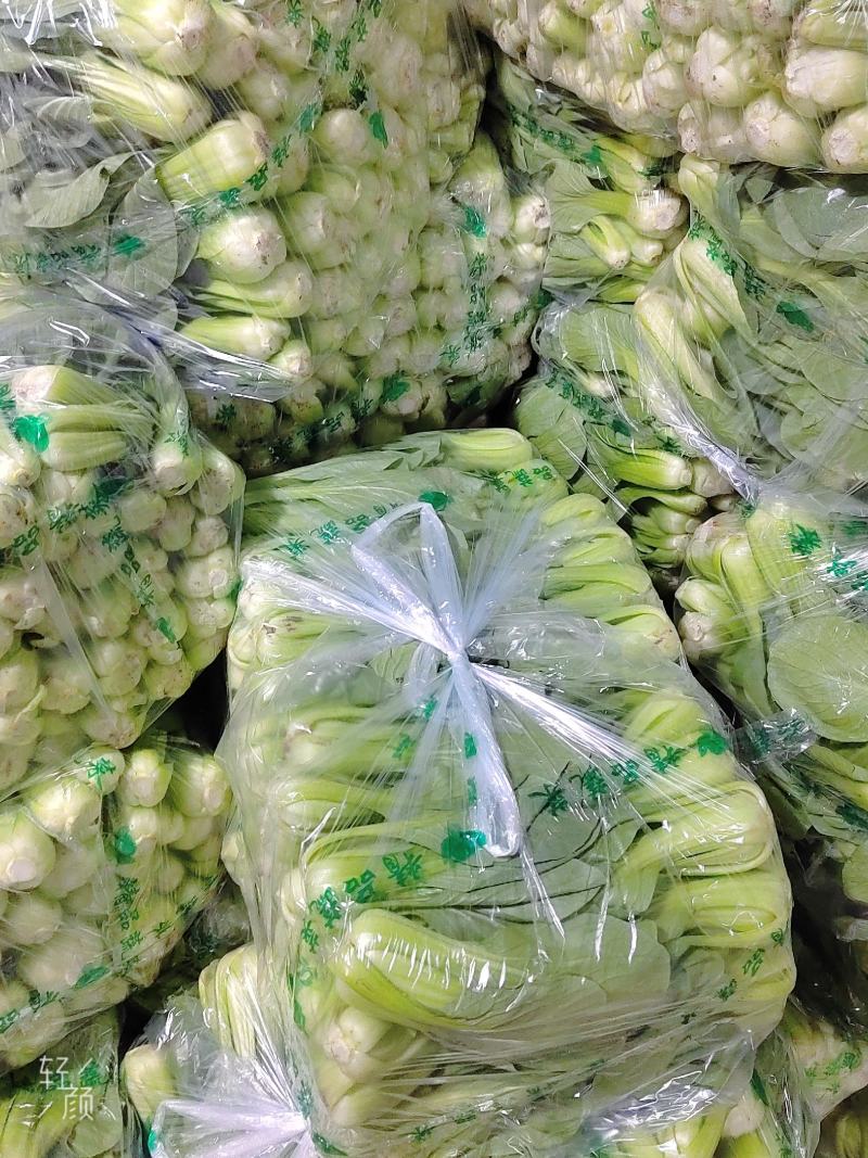 【牛商推荐】精品油菜，上海青产地直销中，货源充足