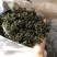 新货蒲公英叶茶、桑叶茶，开春旺季泡水喝养生保健
