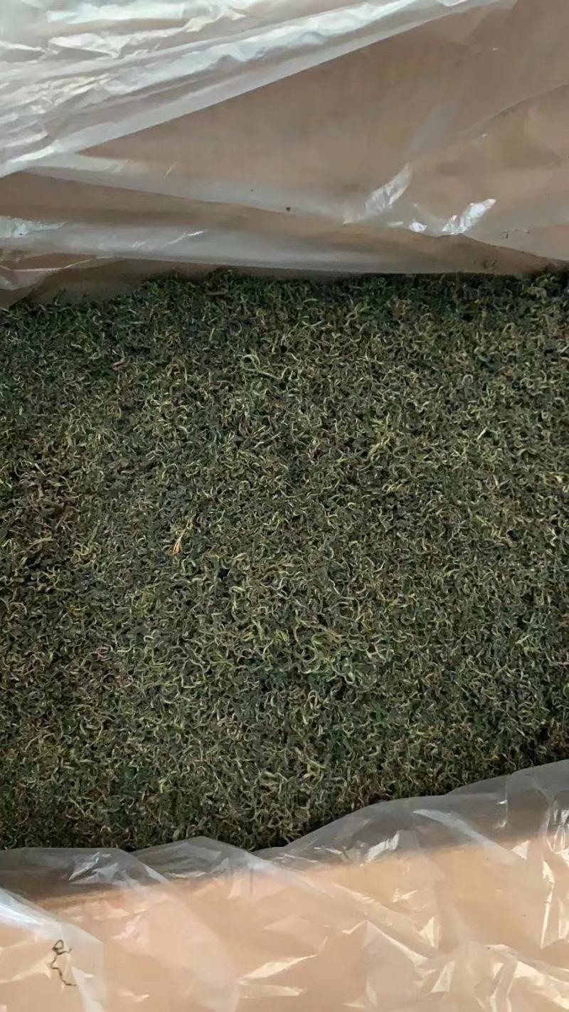 新货蒲公英叶茶、桑叶茶，开春旺季泡水喝养生保健