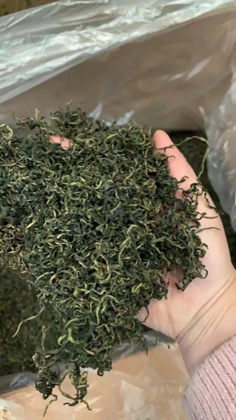 新货蒲公英叶茶、桑叶茶，开春旺季泡水喝养生保健