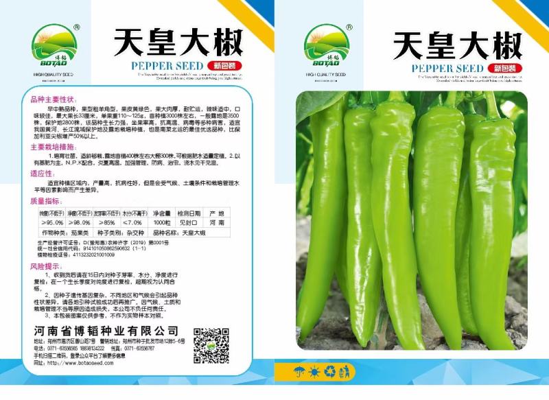 天皇龙椒辣椒种子果果长33厘米耐湿热抗病性强直5千公