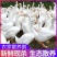 鹅肉土鹅新鲜大鹅农家大蛋鹅肉整只新鲜现杀鹅农家散养大白鹅