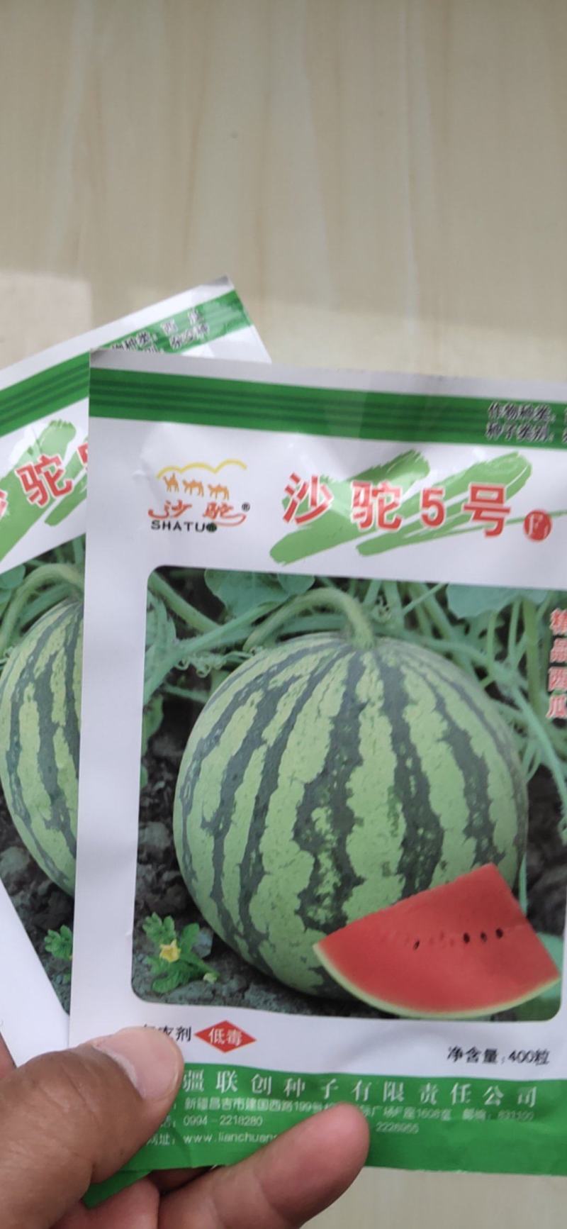 沙驼5号西瓜种子抗病抗裂含糖量高不空心，不阴瓤商品性强