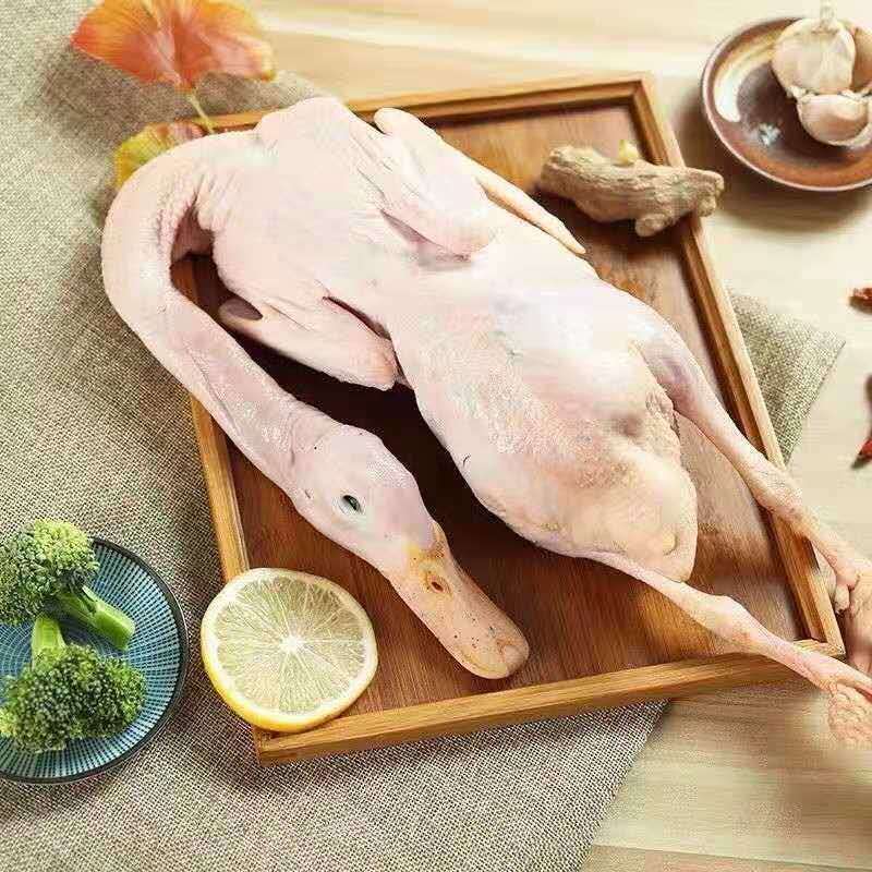 【5年老鸭子】正宗农家散养老鸭子土鸭水鸭老麻鸭子整只现杀