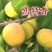 陕西凯特杏50mm以上，货源充足稳定，欢迎选购看货