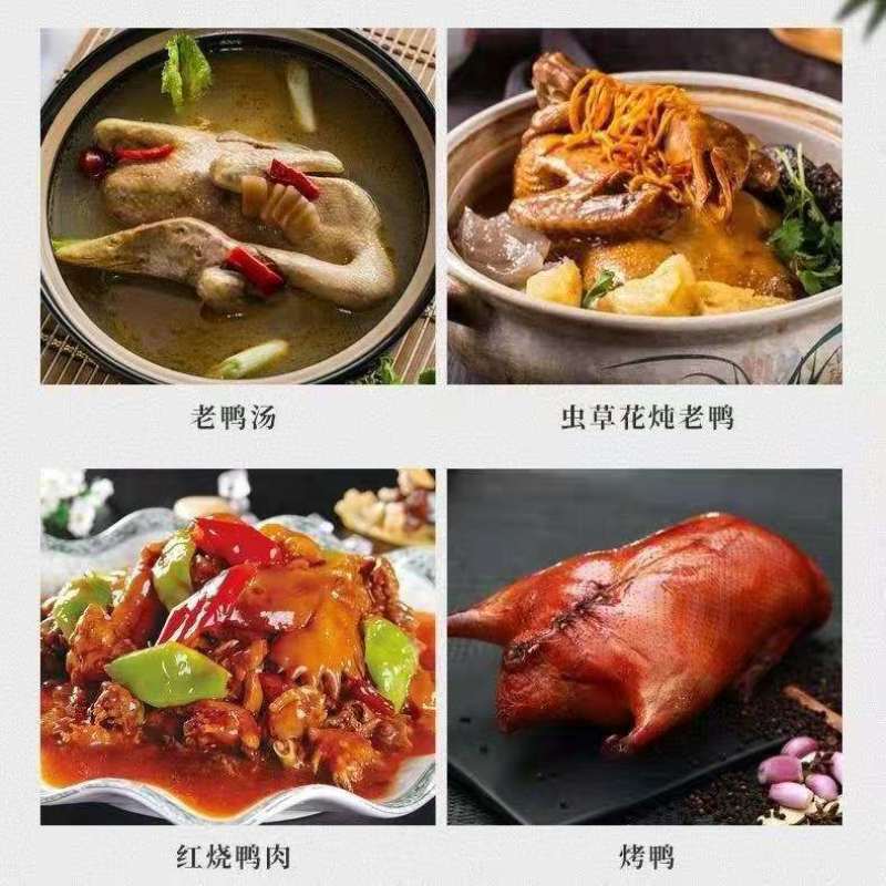 【5年老鸭】散养老鸭子土鸭水鸭麻鸭新鲜鸭子整只老鸭现杀