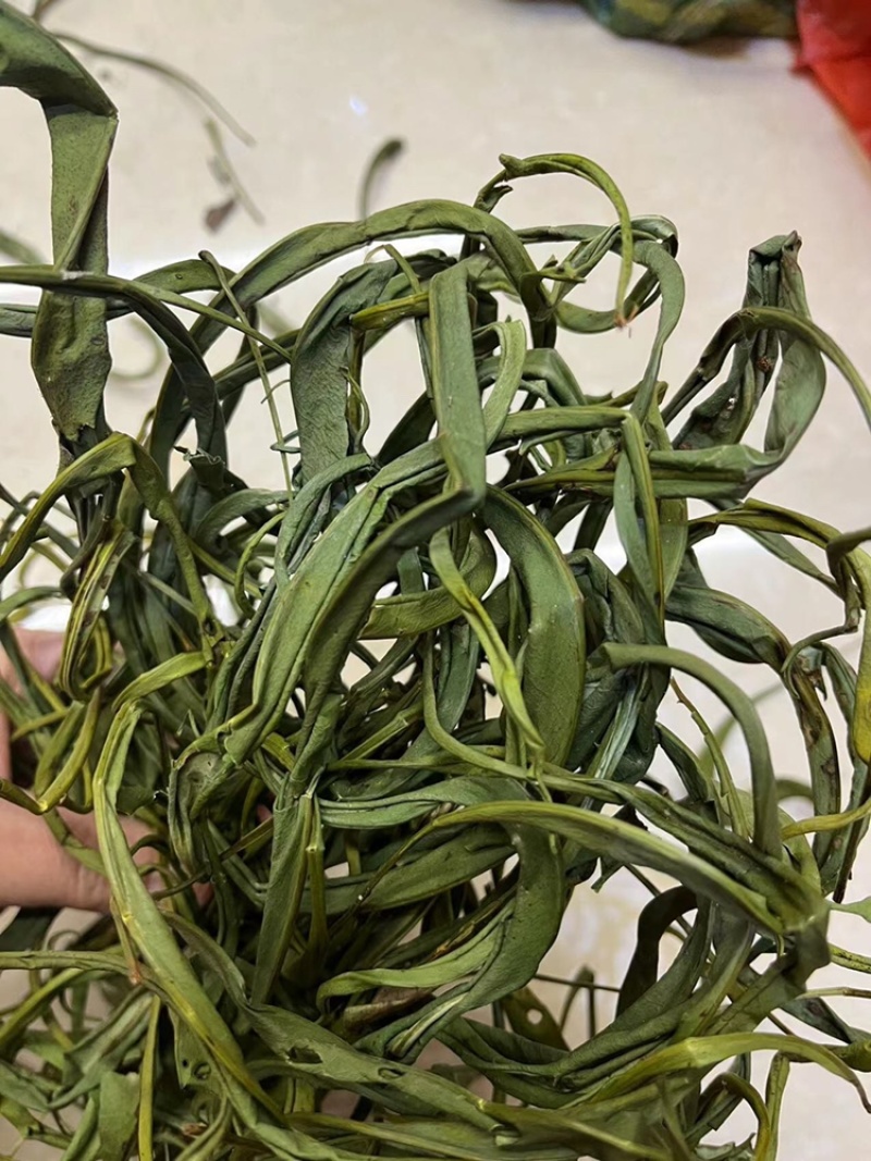 化石草大叶子，肾精茶，小叶化石草，一手货源，货源充足