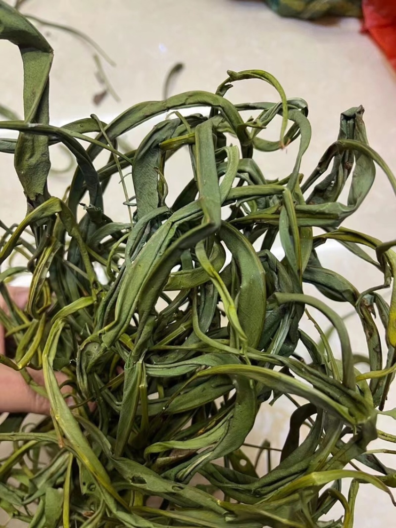 化石草大叶子，肾精茶，小叶化石草，一手货源，货源充足