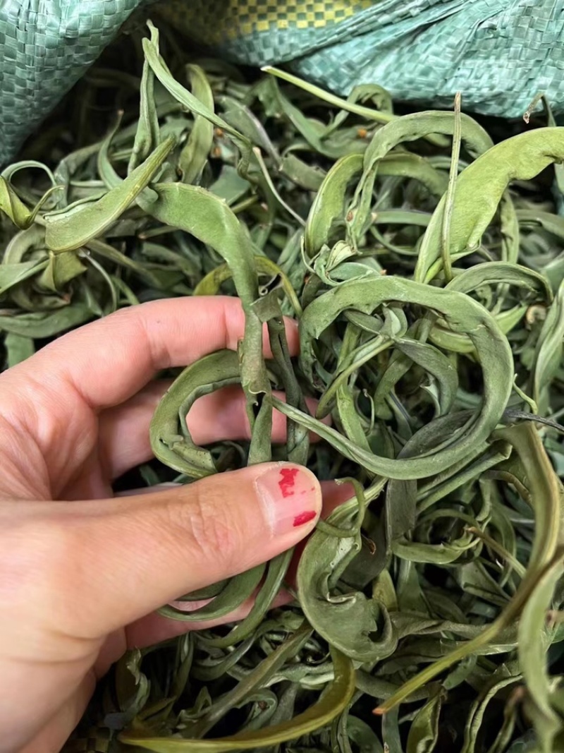 化石草大叶子，肾精茶，小叶化石草，一手货源，货源充足