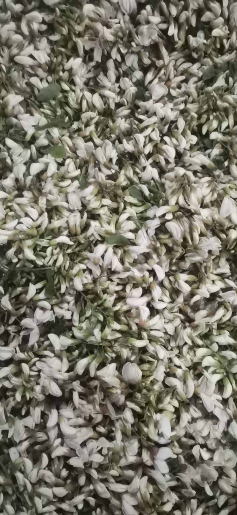 洋槐花