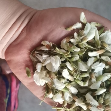 洋槐花