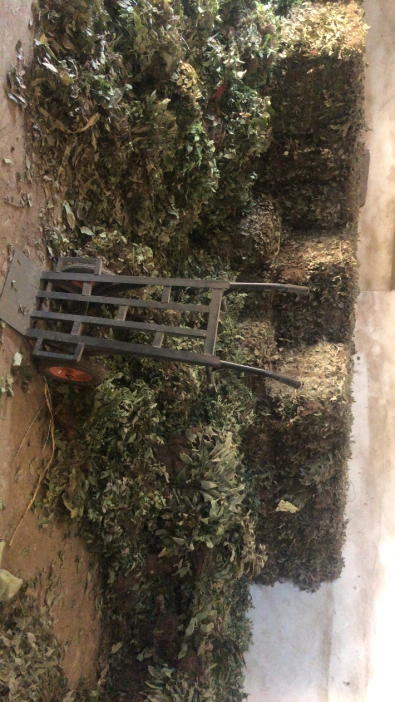 淫羊霍野生2022大量上新，欢迎大家选购！量很大