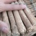 甘肃岷县黄芪北芪原条高海拔高含量黄芪原条、无硫自然晾晒