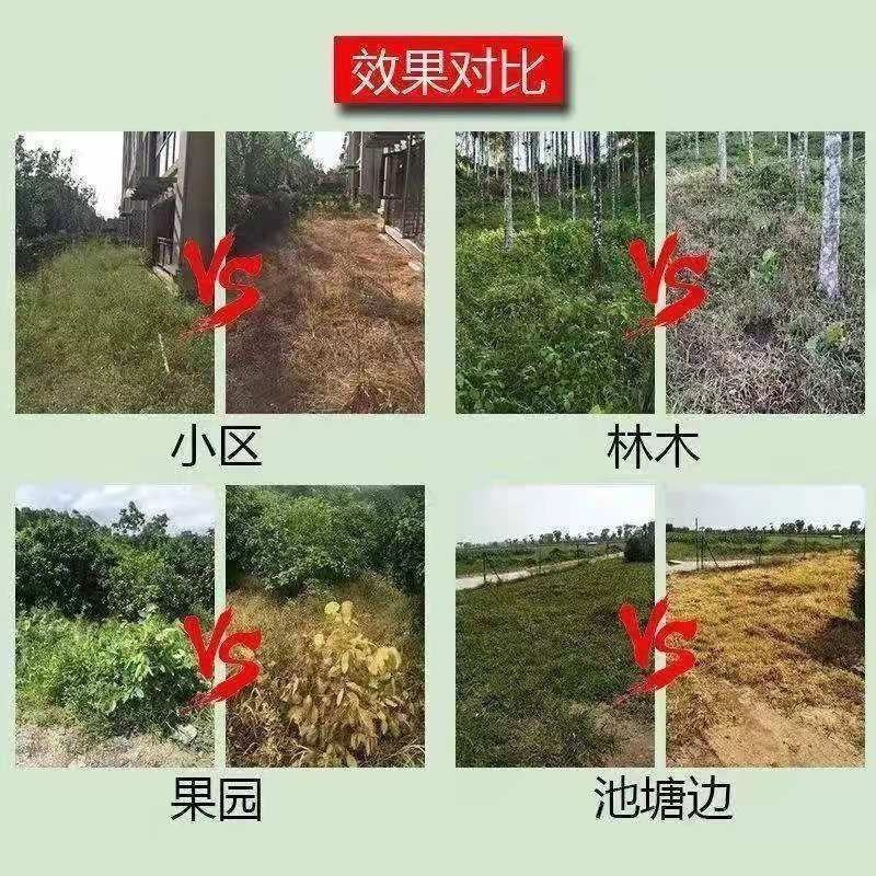 快火快火草铵膦草铵膦，效果好，厂家直销，价格优美。