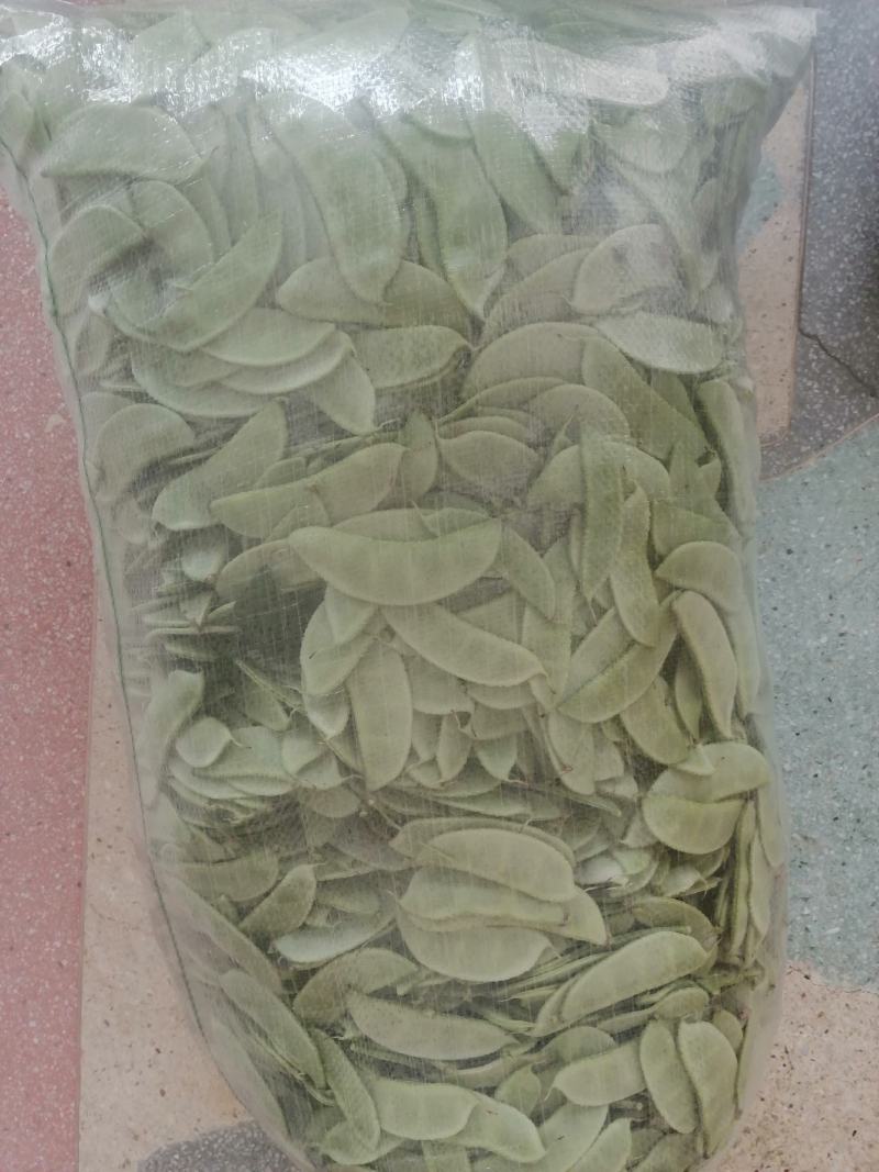 白扁豆，三山扁豆，大量上市，质量优良，对接全国客商