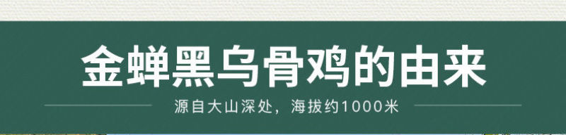 乌鸡鲜鸡现杀正宗散养乌骨鸡土鸡月子鸡老母鸡白凤鸡鸡肉整只