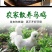 乌鸡鲜鸡现杀正宗散养乌骨鸡土鸡月子鸡老母鸡白凤鸡鸡肉整只