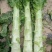 甘肃兰州高原夏菜即将上市