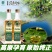 青刺果油云南丽江特产宁蒗青娜鲁果油冷压榨食用油支持一件代