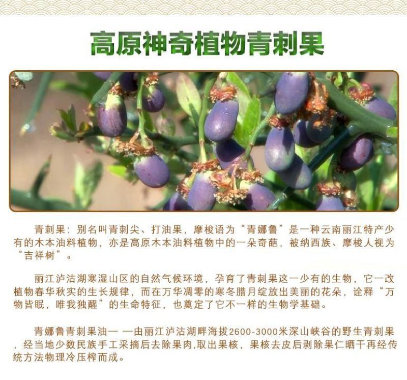 青刺果油云南丽江特产宁蒗青娜鲁果油冷压榨食用油支持一件代