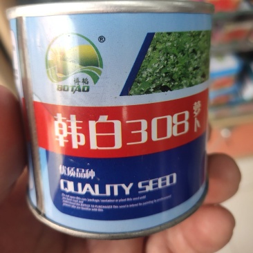 韩白308白萝卜种子厚皮不糠心不裂根商品性好口感好产量高
