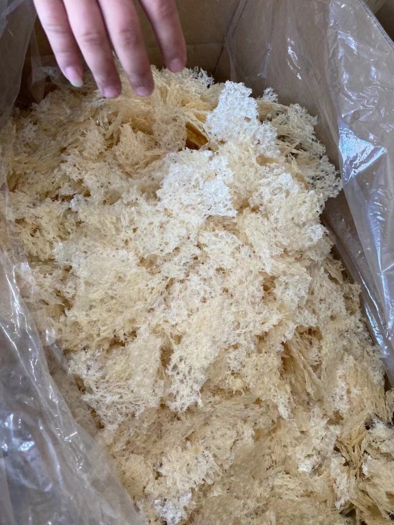 福建古田本草银耳，无硫安全食品，欢迎选购
