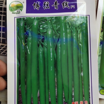 博弦青线F1辣椒种子果长27厘米亩产8000千斤皮薄肉厚