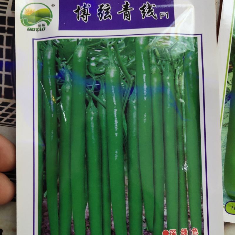 博弦青线F1辣椒种子果长27厘米亩产8000千斤皮薄肉厚