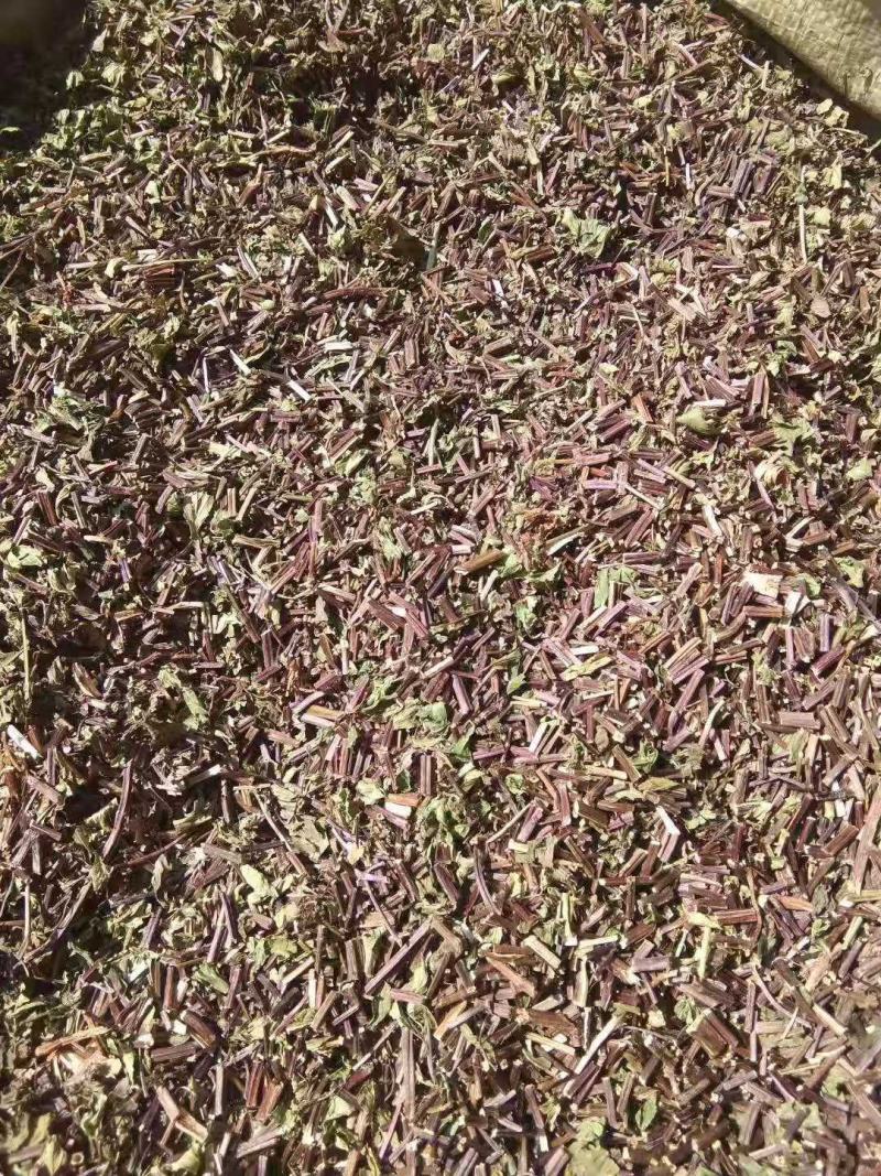 食用薄荷，种植回收指导，饮片个子供应药厂货