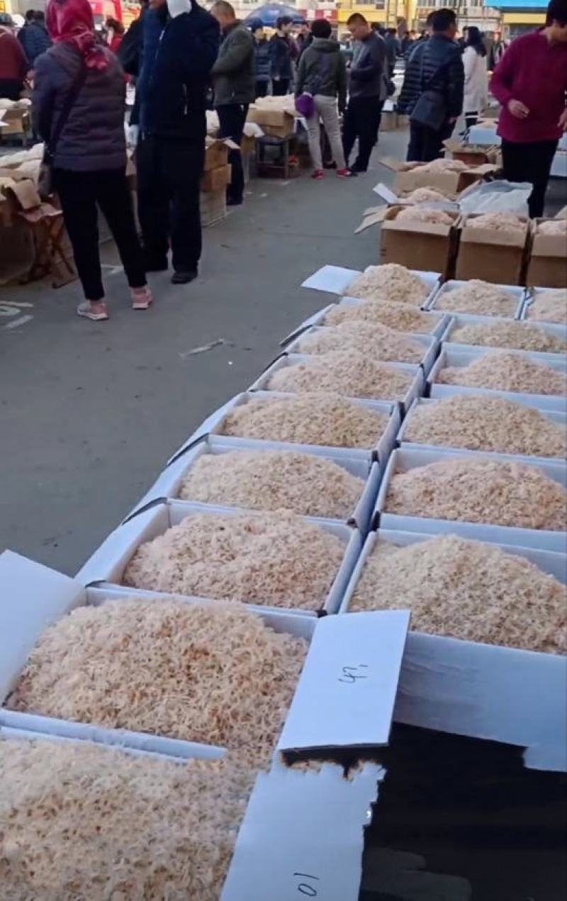 虾皮，优质大虾皮新货上市纯淡干无盐虾皮，规格齐全产地直销