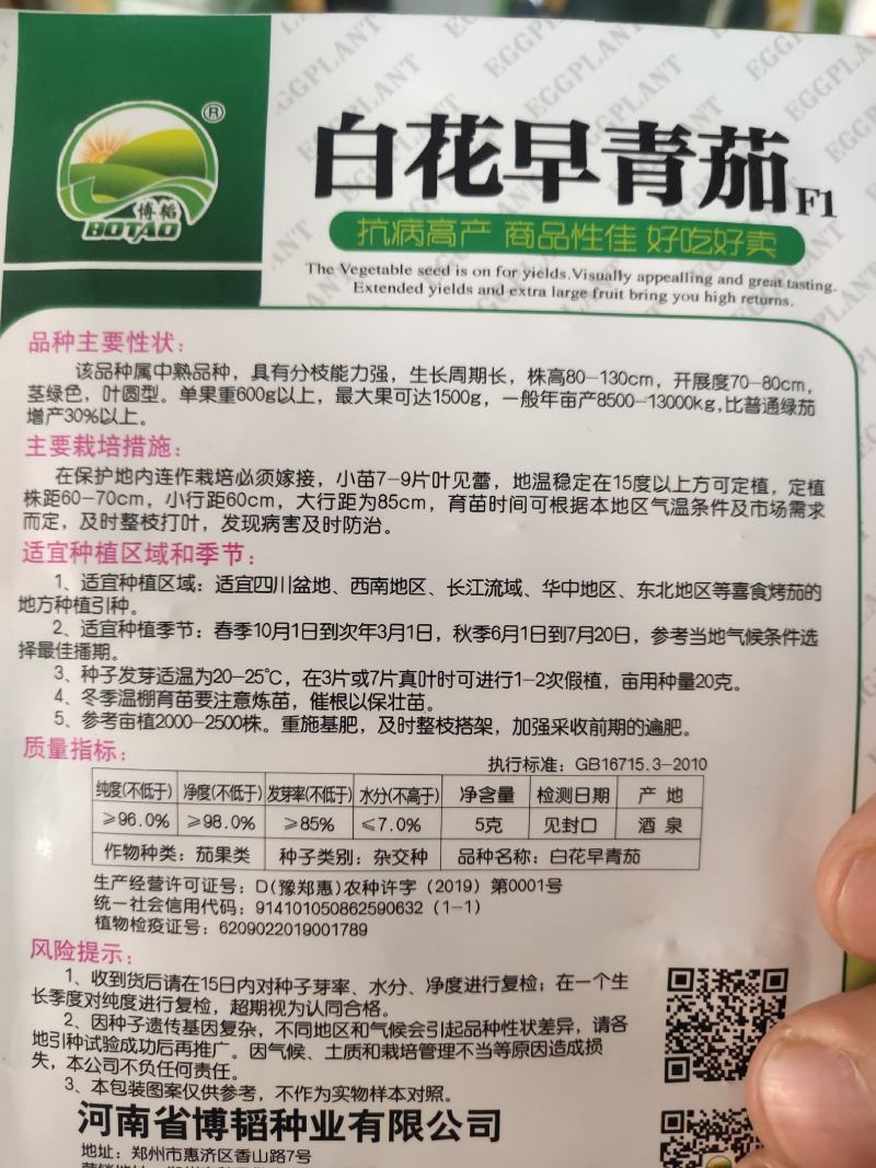 白花早青茄种子高产抗病大果囗感好亩产1300公斤抗病
