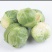 甘蓝包菜量大从优商超直供欢迎咨询品质优良