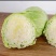 甘蓝包菜量大从优商超直供欢迎咨询品质优良