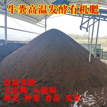 牛粪