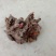 芍药根，产地四川道地药材，质优价实，品质保证，药典标准