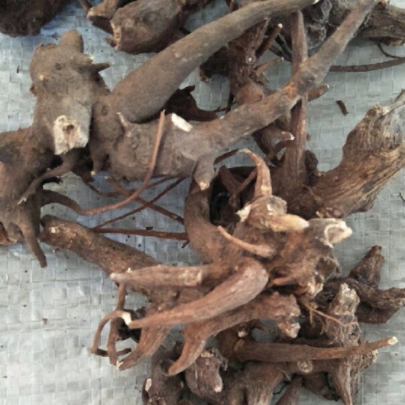 芍药根，产地四川道地药材，质优价实，品质保证，药典标准