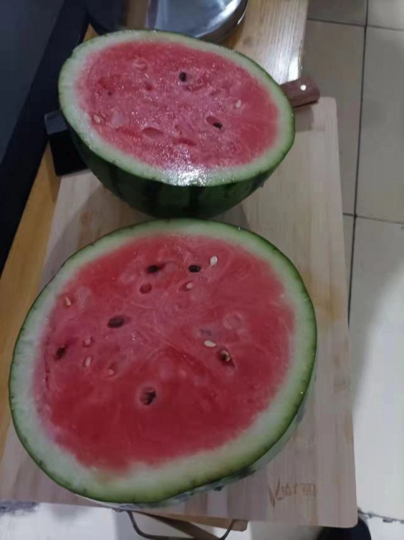山东聊城西瓜甜王西瓜皮薄肉厚多汁产地直供全国发货