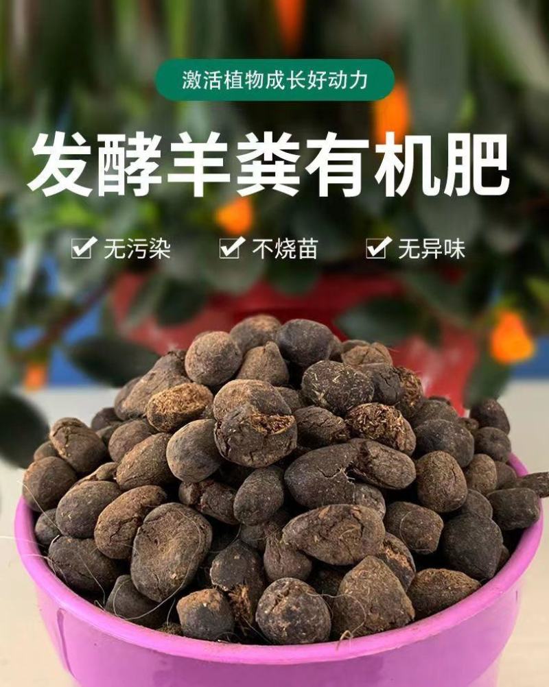 羊粪纯羊粪熟羊粪发酵羊粪