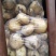 新土豆黄心土豆