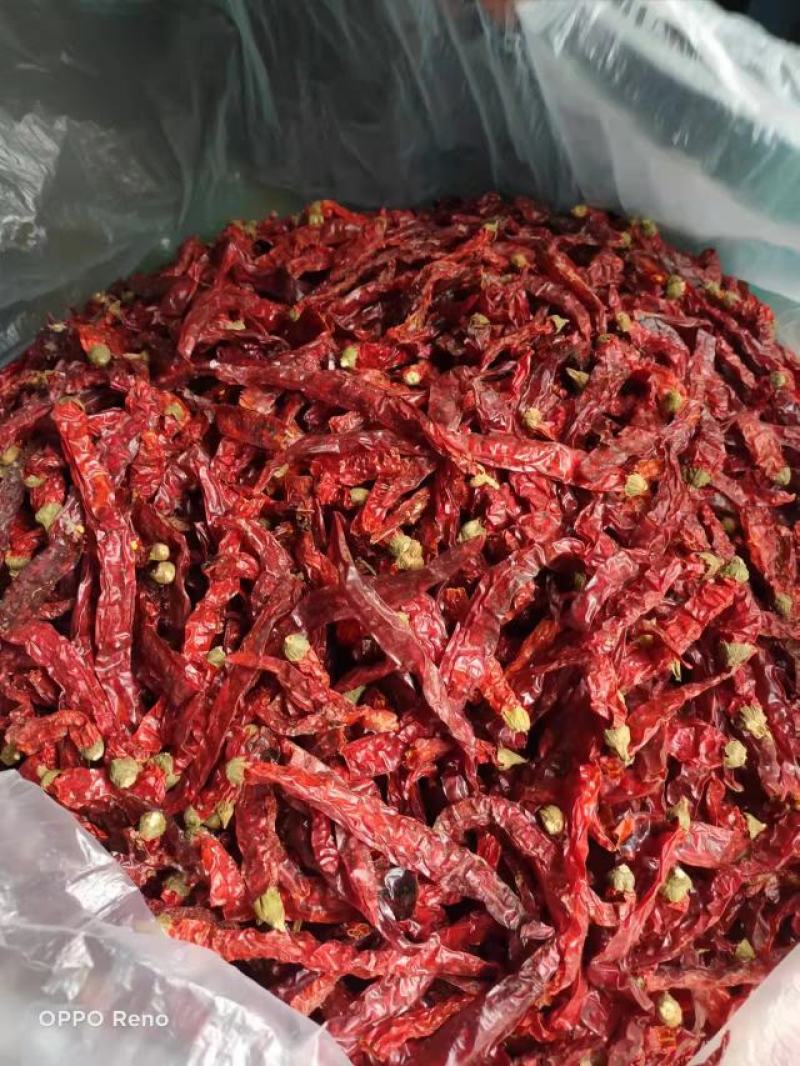 脱帽二荆条