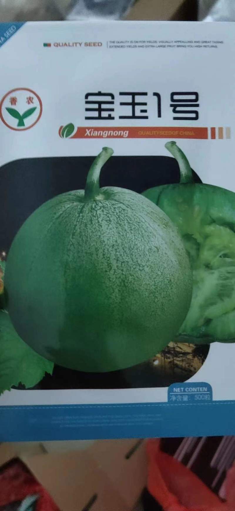 自根甜瓜苗直播绿宝甜瓜苗自根羊角蜜博洋9甜瓜苗