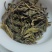 精品普洱茶2025年勐库自家100年树龄茶汤色金黄透亮