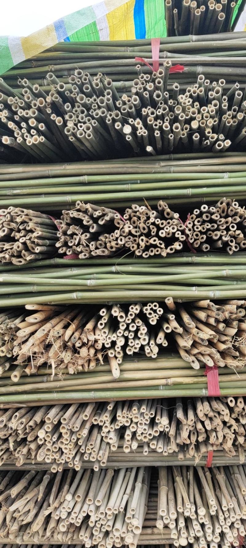 优质菜架竹批发，冬瓜竹，火龙果竹，豆角杆，西红柿架杆产