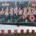 山东万亩鲜切花基地、玫瑰花批发、鲜切花～