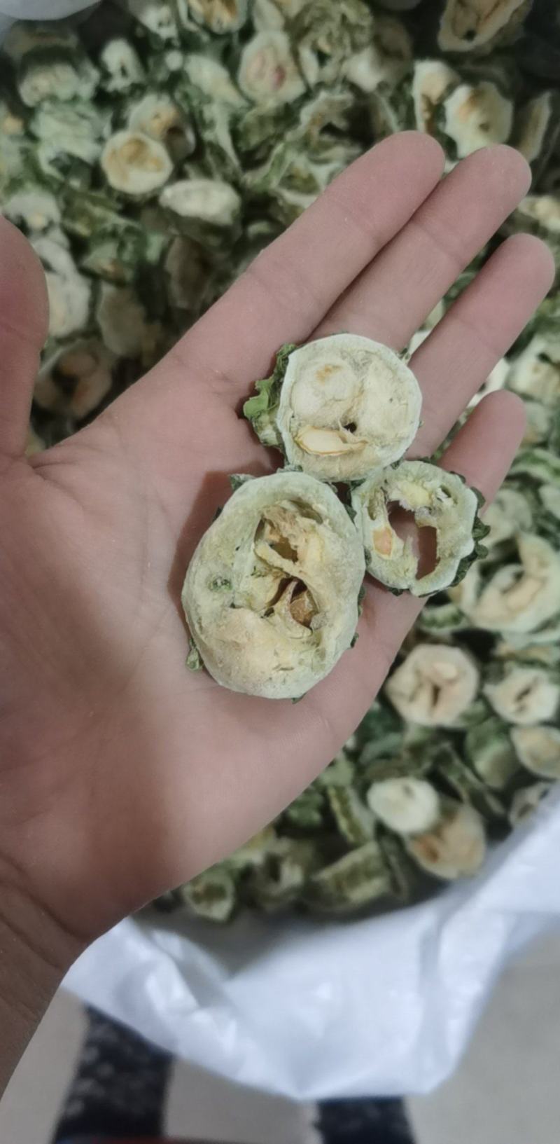 苦瓜片统装500g产地山东振兴药材购销站量大从优